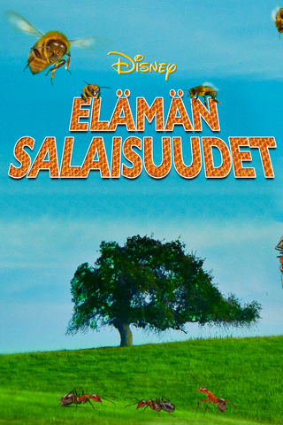 Elämän salaisuudet