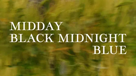 Midday Black Midnight Blue