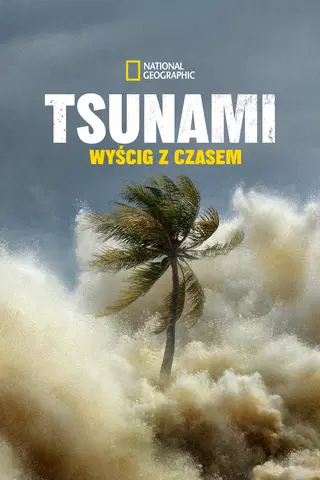 Tsunami: Wyścig z czasem