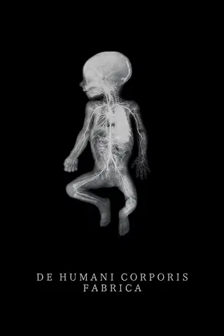 The Fabric of the Human Body