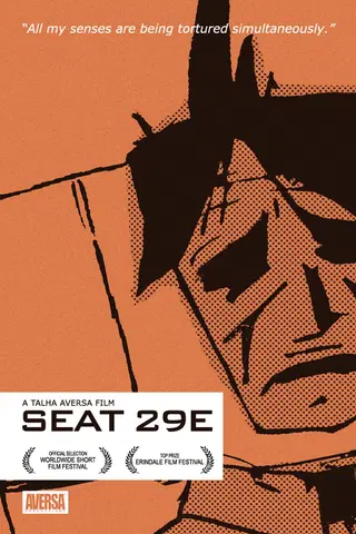 Seat 29E