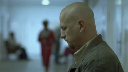 The Investigator