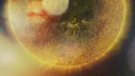 All Light, Everywhere