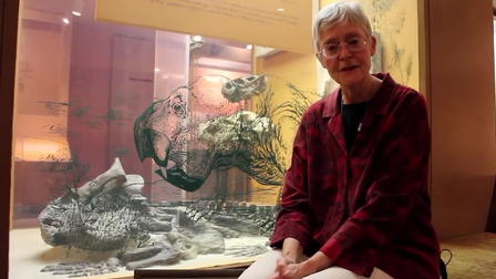 Secrets of the Fossil Hall