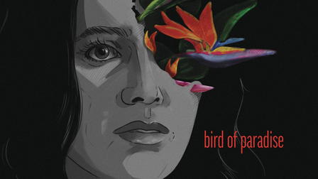 Bird Of Paradise