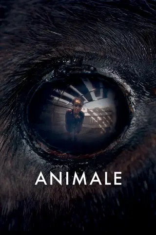 Animale