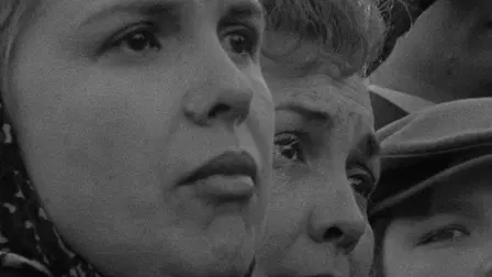 Faces of November