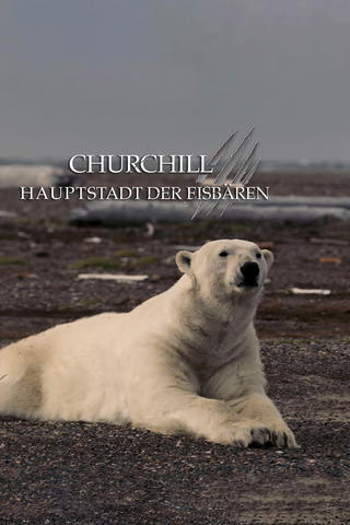 Churchill – Hauptstadt der Eisbären