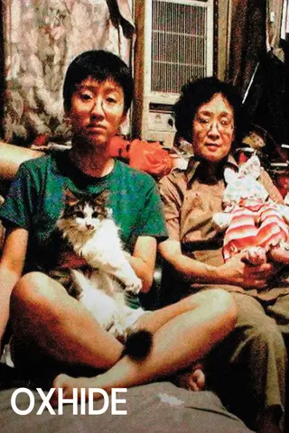 Oxhide