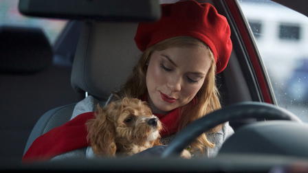 A Puppy for Christmas