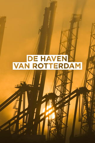 De Haven Van Rotterdam