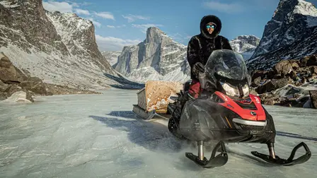 Operation Arctic Cure