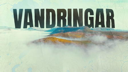 Vandringar