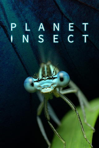 Planet Insect