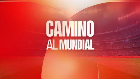 Camino al Mundial