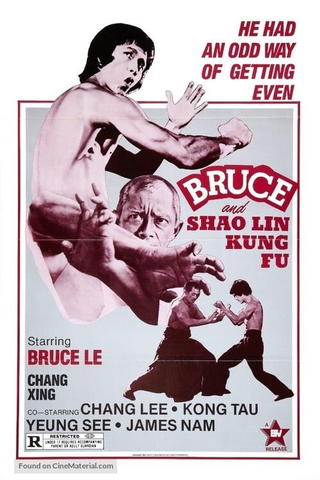 Bruce & Shaolin Kung Fu