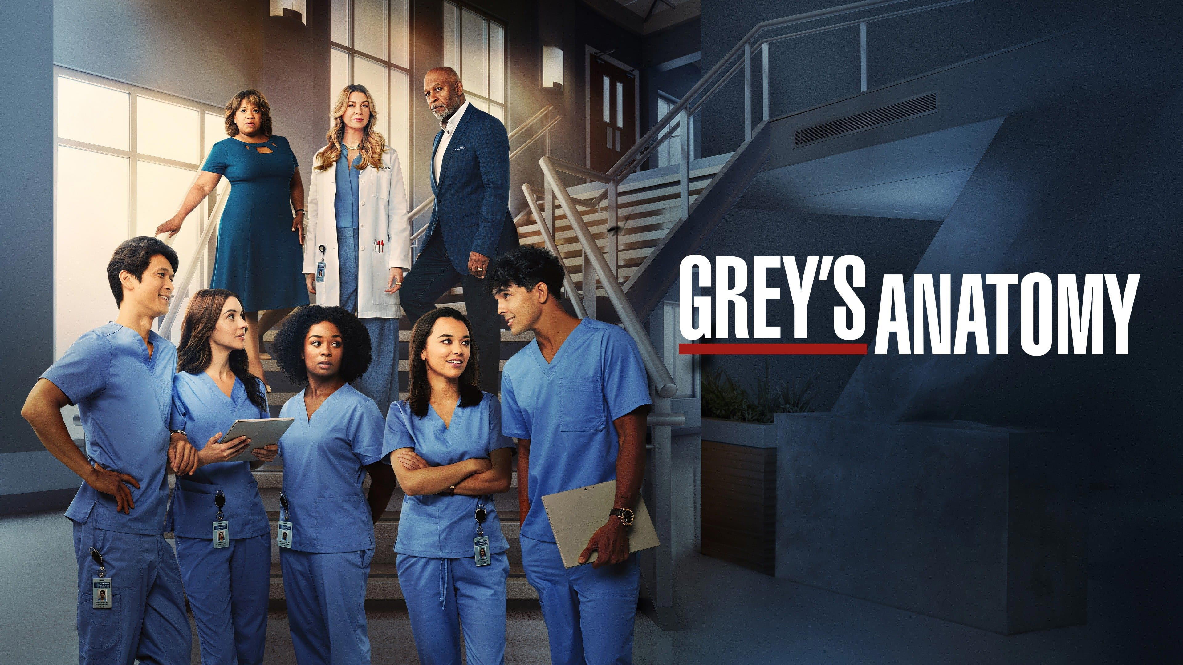 Nonton grey's anatomy season 17 sale