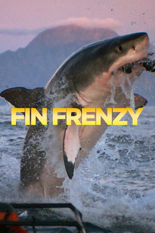 Fin Frenzy