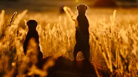 Namibia’s Natural Wonders