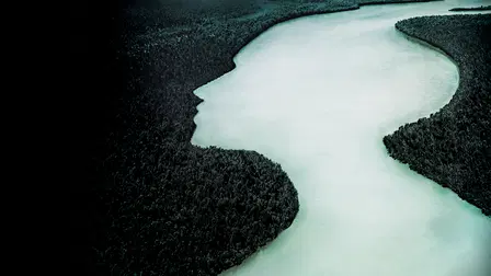 The Vanishing Women