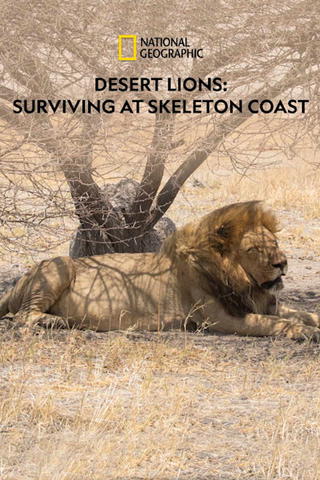 Desert Lions : Surviving at Skeleton Coast