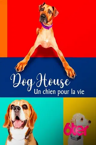 Dog House : Un chien pour la vie