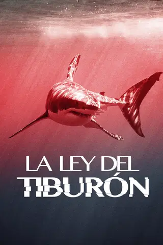 Tiburones: aguas peligrosas
