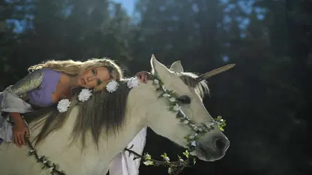 Quest for the Unicorn