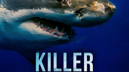 Killer Sharks: The Attacks of Black December