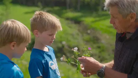 Fire, Water, Earth, Air