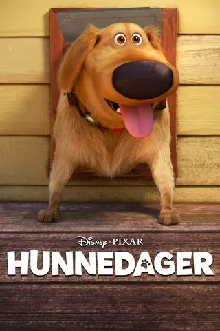 Hunnedager