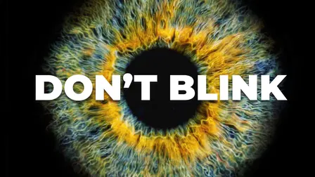 Don't Blink