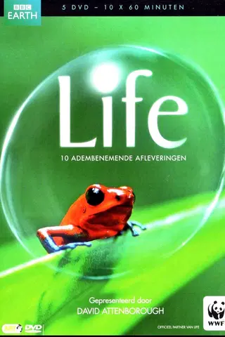 Life