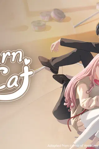 Reborn as a Cat