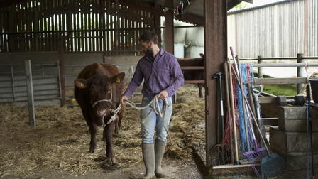 Fletchers' Family Farm