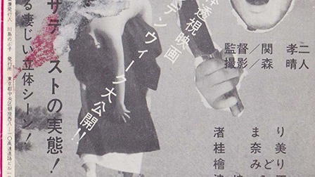 Abnormal Sex Crimes