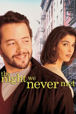 The Night We Never Met