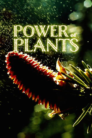 Power of Plants