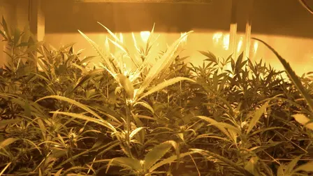 Una Historia de la Prohibición