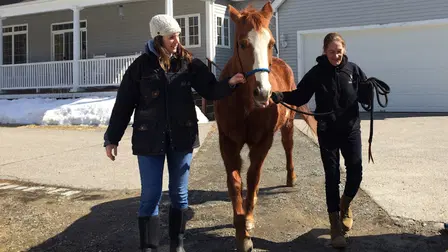 The Wounds We Cannot See