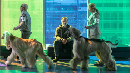 La Nouvelle Vie de Paul Sneijder