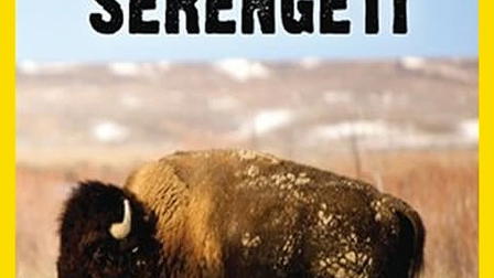 American Serengeti