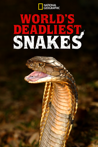 World’s Deadliest Snakes