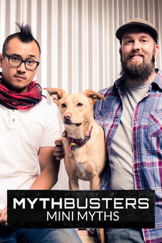 MythBusters Mini Myths
