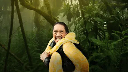 Snaketacular