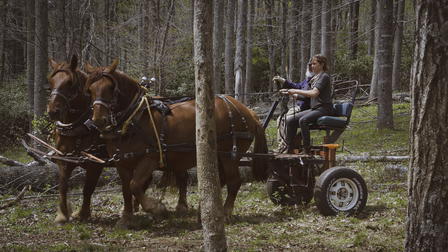 Somehow Hopeful: The Story of a Woodsman