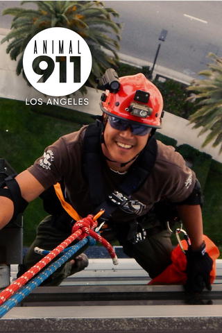 Animal 911: Los Angeles