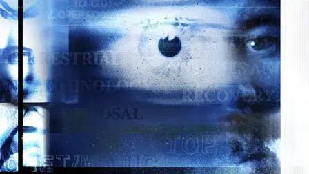 Full Disclosure: Reality Behind Spielberg's Disclosure Day