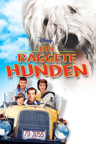 Den raggete hunden