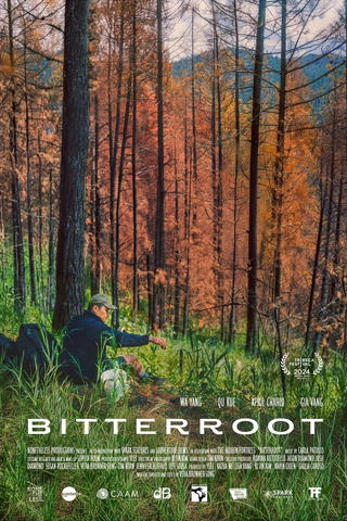 Bitterroot